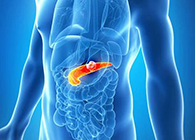 Science：“癌王”胰腺癌终于出现了治疗新曙光