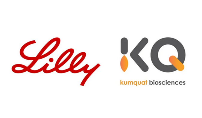 祝贺！k8凯发国际合作伙伴Kumquat Biosciences与礼来达成合作，共同开发肿瘤免疫小分子药