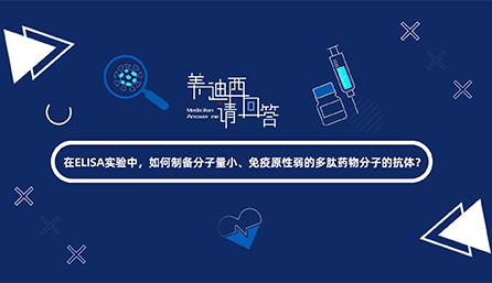 在ELISA实验，如何制备分子量小、免疫原性弱的多肽药物分子的抗体？