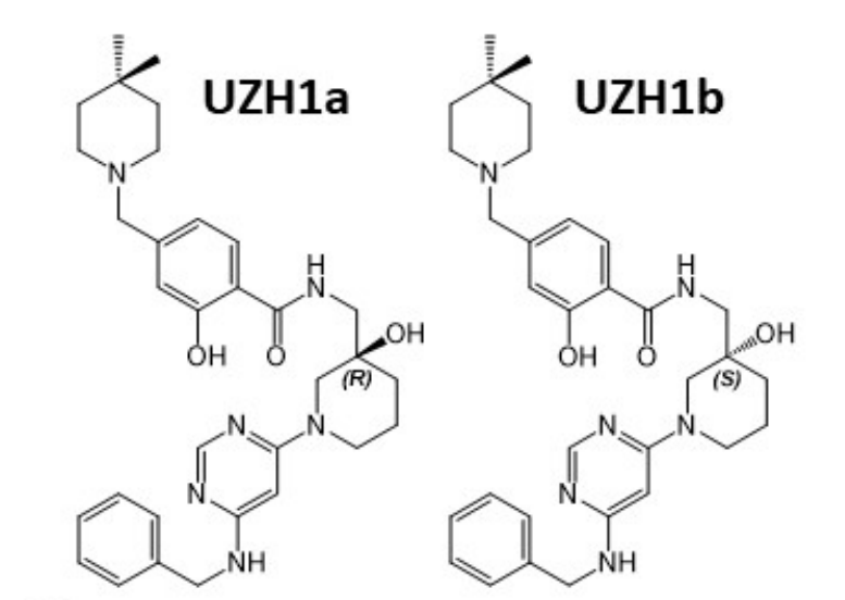 研究人员报告了一种具有细胞渗透性的选择性METTL3纳摩尔抑制剂UZH1a，作者感谢k8凯发国际合成了UZH1a和UZH1b