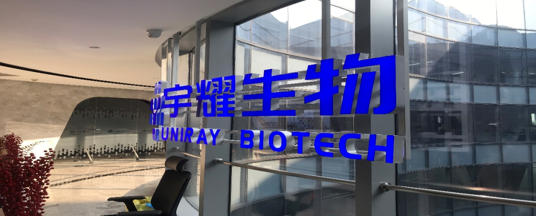 k8凯发国际助力 | 宇耀生物STAT3双磷酸化位点抑制剂YY201成功完成中美双报