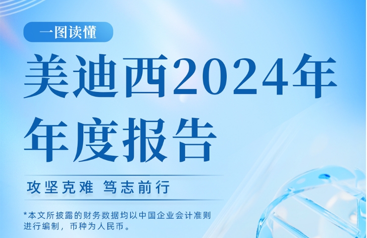 k8凯发国际2024年年度报告